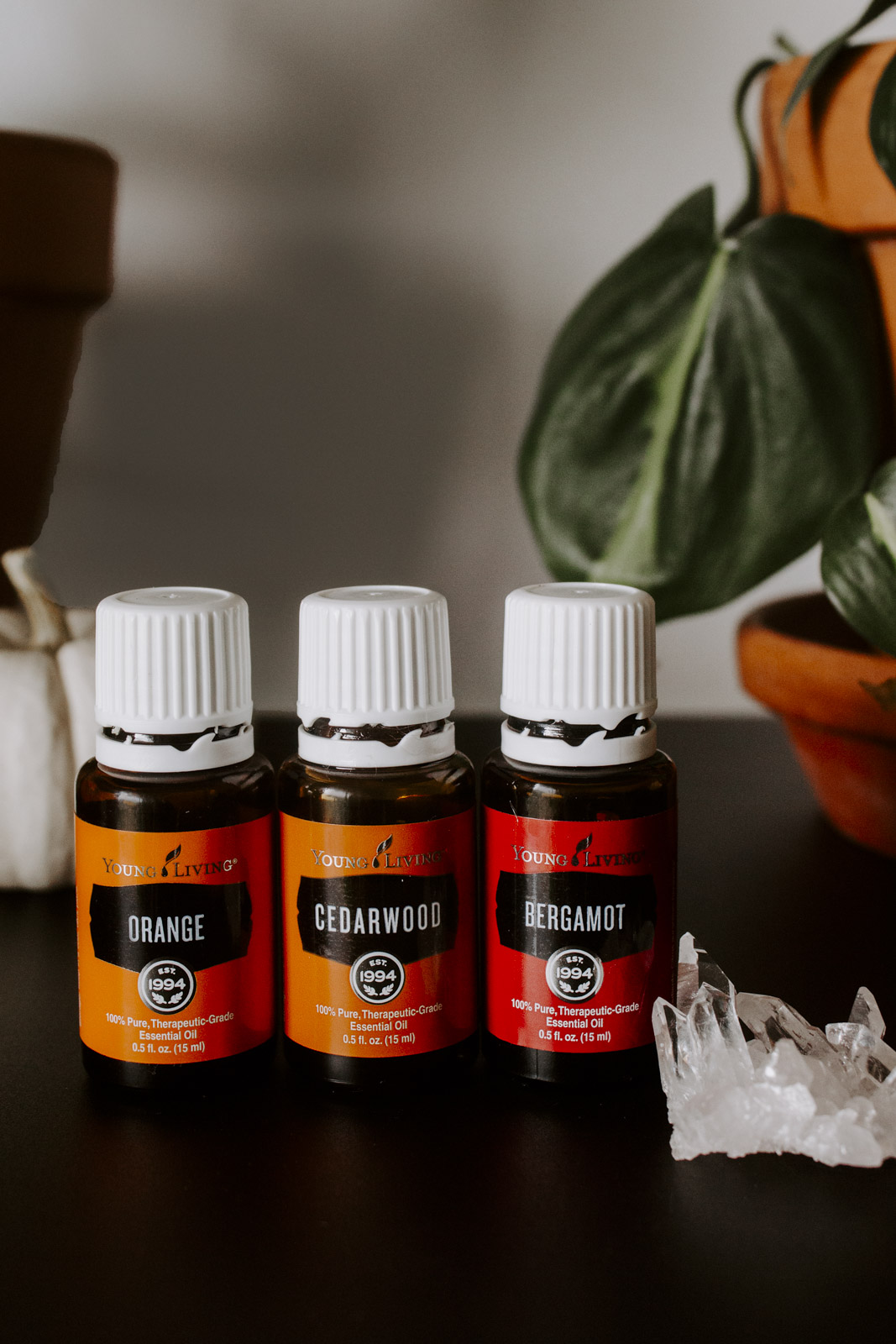 Fall Diffuser Blends - Be Well