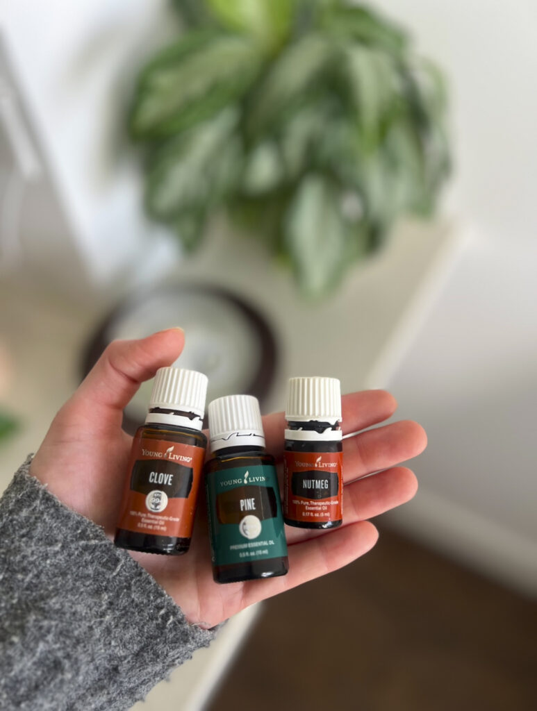 Fall Diffuser Blends