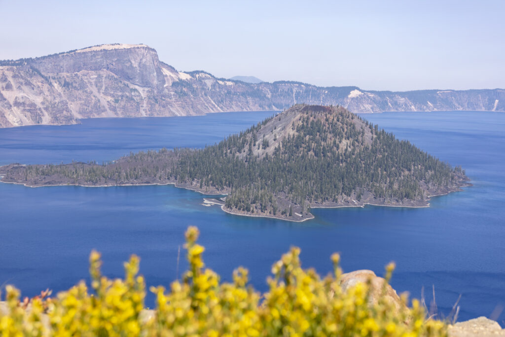 Image of Crater Lake with yellow wildflowers