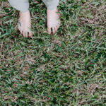 Earthing: A Complete Guide to Grounding