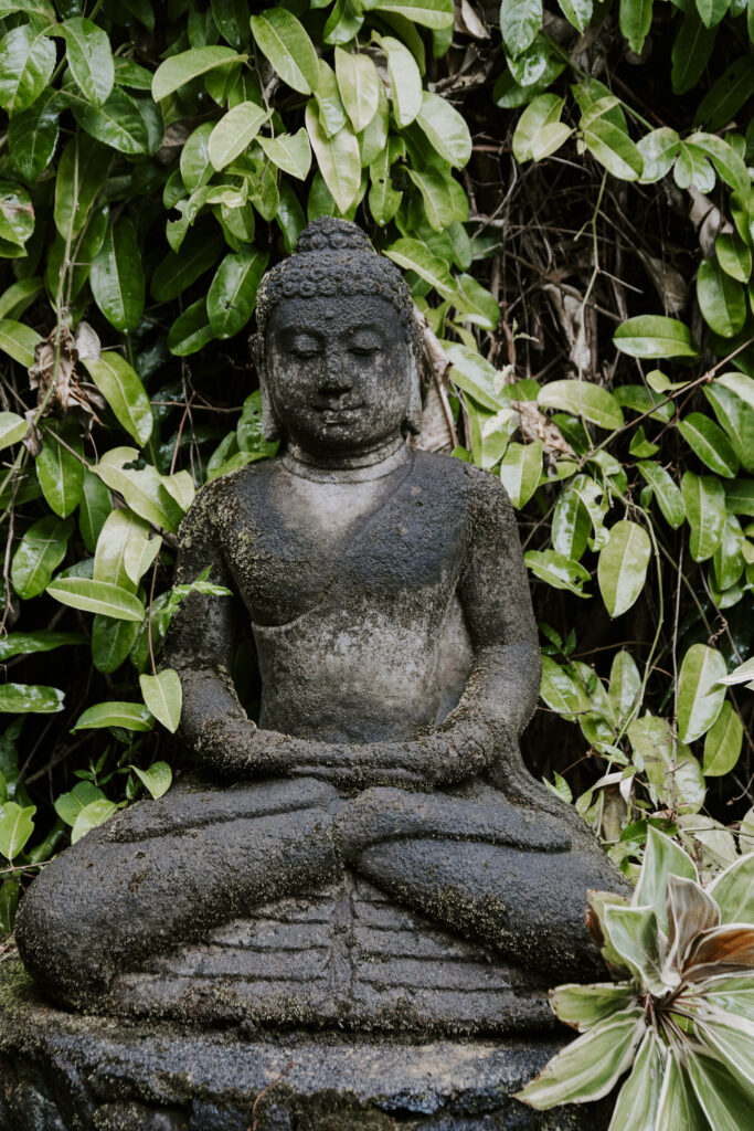 Stone Buddha statue with plants growing around it