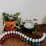 Bottles of essential oils are lined up in front of an essential oil diffuser