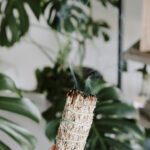 My Word for 2024 is FLOW. What’s Yours?